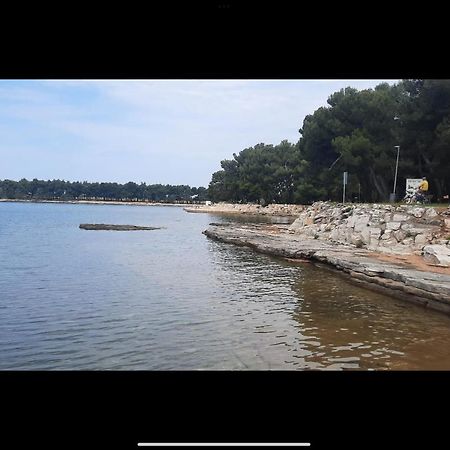 Apartman Sija Novigrad Novigrad  Exterior photo