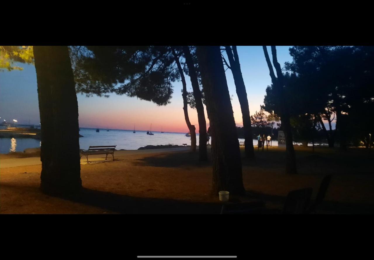 Apartman Sija Novigrad Novigrad  Exterior photo